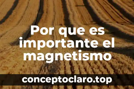 Por que es importante el magnetismo