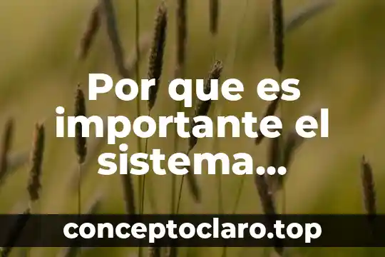 Por que es importante el sistema respiratoroo