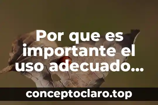 Qué es más importante en una representación 7 Por que es importante el uso adecuado de la tecnología
