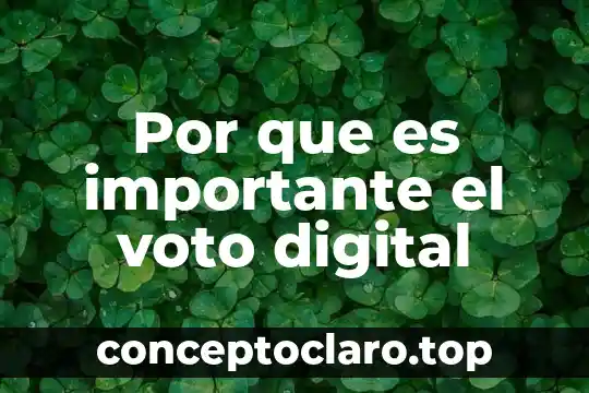 Por que es importante la aministracion turistica 6 Por que es importante el voto digital