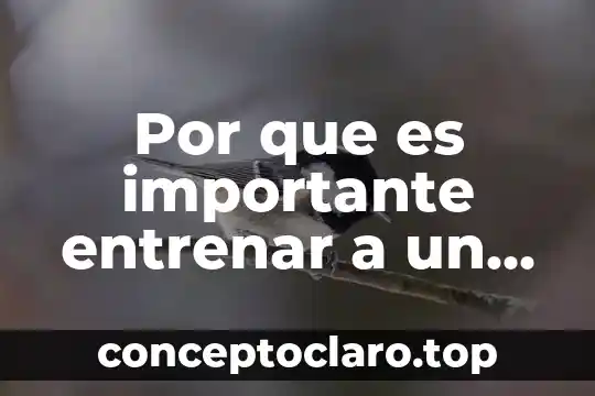 Por que es importante entrenar a un lider