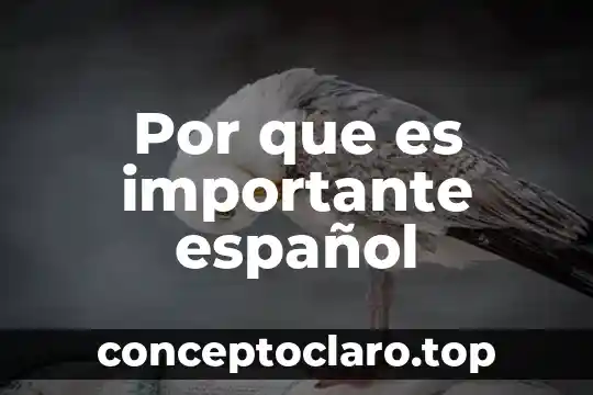 Qué es más importante en una representación 8 Por que es importante español