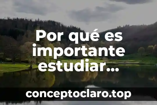 Por qué es importante estudiar administración