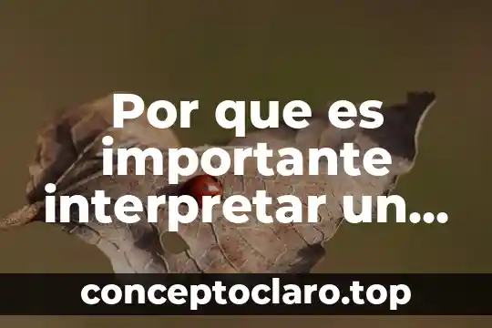 Por que es importante interpretar un texto de forma academica