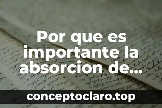 Por que es importante la absorcion de gases