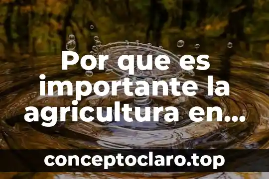 Por que es importante la agricultura en el mundo