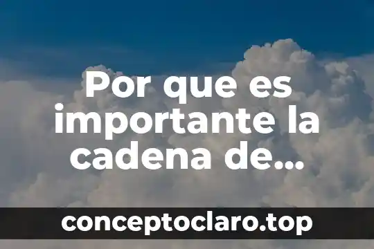 Por que es importante la cadena de suministro