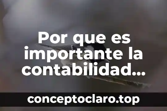 Por que es importante la contabilidad administrativa en las organizaciones