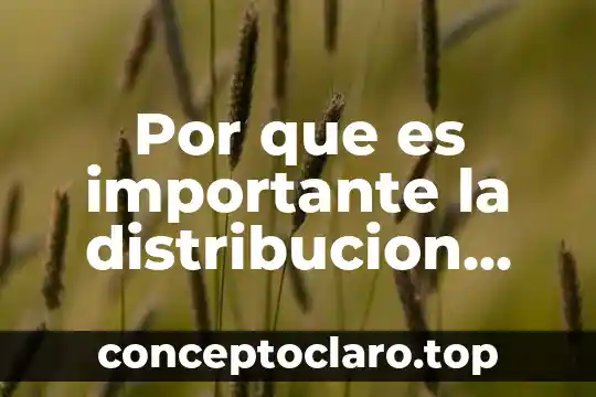 Por que es importante la distribucion del agua