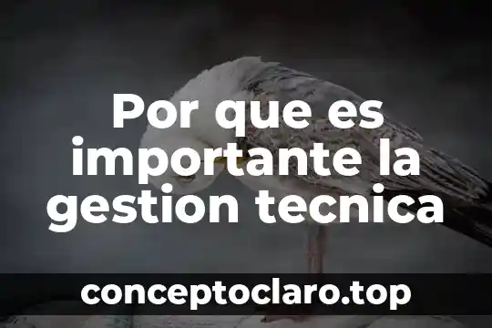 Qué es la técnica de examen y repaso 3 Por que es importante la gestion tecnica