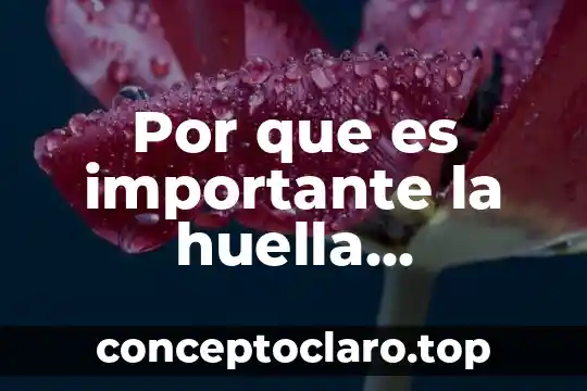 Por que es importante la huella ecologica