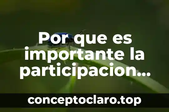 Por que es importante la participacion en el trabajo