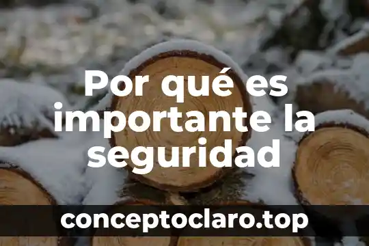 Por qué es importante la seguridad