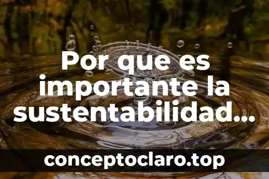 Por que es importante la sustentabilidad energetica