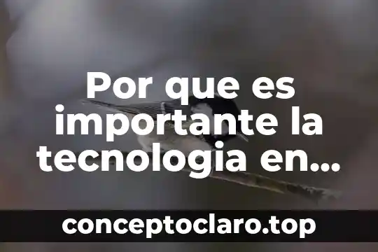 Por que es importante la tecnologia en la banda ancha