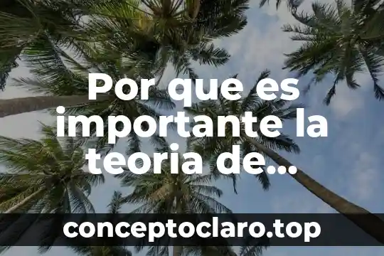 Por que es importante la teoria de piaget