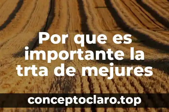 Por que es importante la trta de mejures