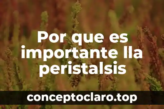 Por que es importante el voto digital 3 Por que es importante lla peristalsis