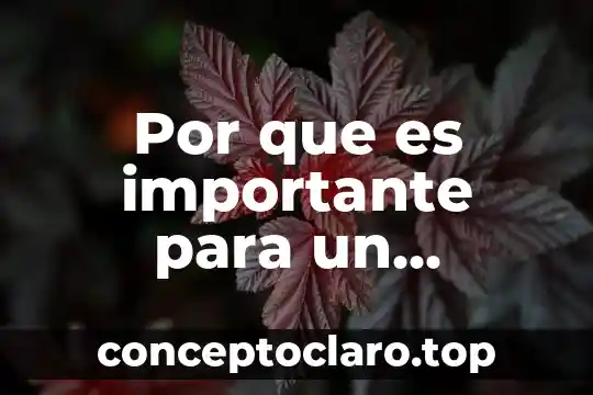 Por que es importante para un vegano tomar suplementos