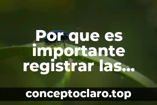 Que es mejor registrar la marca o nombre comercial 3 Por que es importante registrar las obras