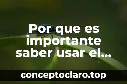 Por que es importante saber usar el internet basico
