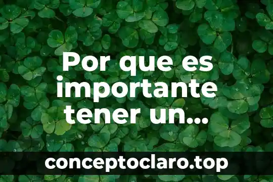 Que es tener facilidad de palabra 5 Por que es importante tener un sistema amig ble