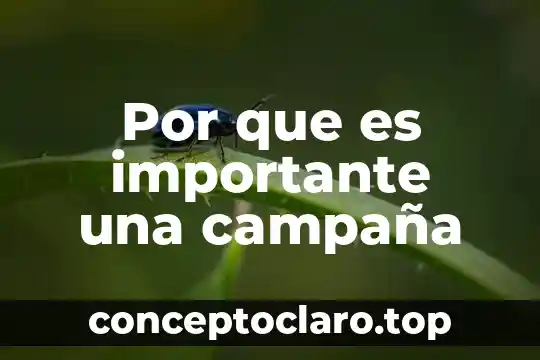 Por que es importante una campaña