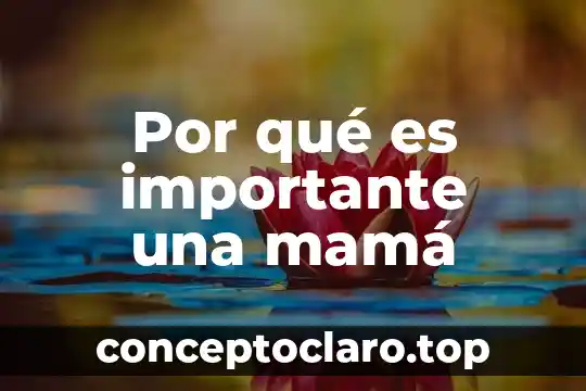 Por qué es importante una mamá
