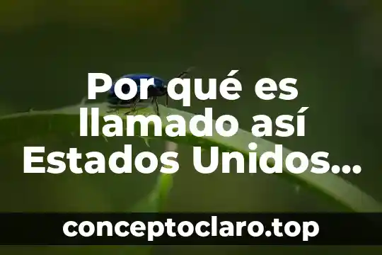 Que es farmacopea de los estados unidos mexicanos 7 Por qué es llamado así Estados Unidos Mexicanos