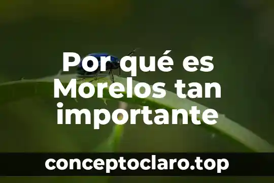 Planetas que es tan cerca del sol nombre 7 Por qué es Morelos tan importante