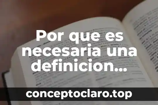 Por que es necesaria una definicion inicial de la didactica
