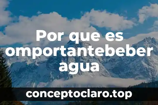 Por que es omportantebeber agua