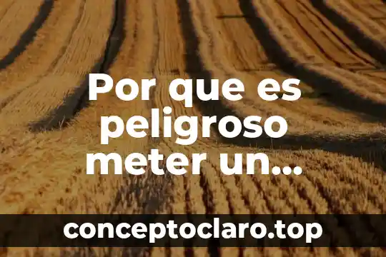 Que es la agua neutra 7 Por que es peligroso meter un equipo electrico al agua