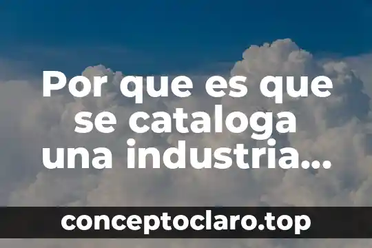 Que es la industria porno 3 Por que es que se cataloga una industria minera
