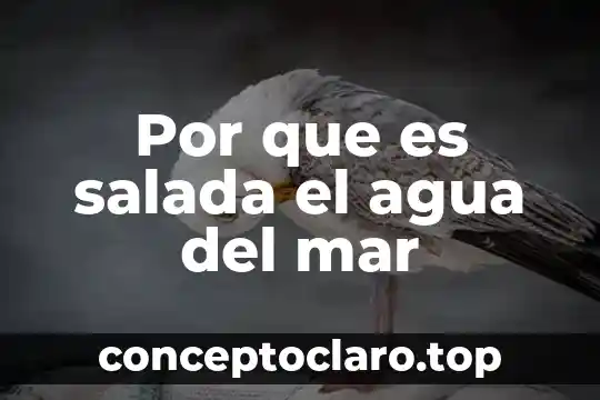 Por que es salada el agua del mar