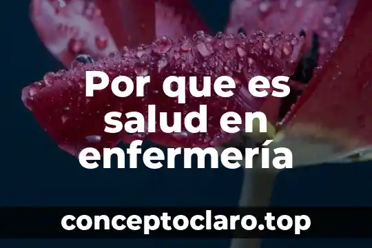 Conamed que es y enfermeria 3 Por que es salud en enfermería