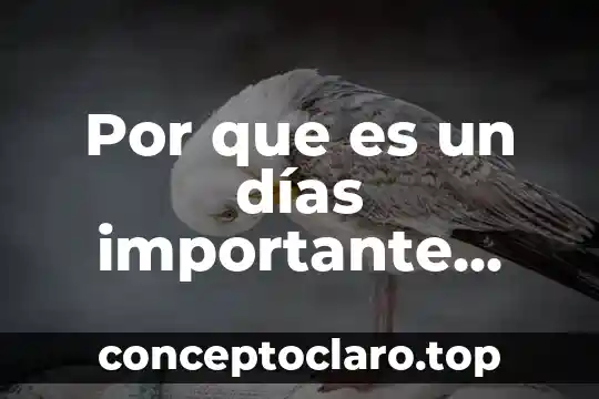 Por que es un días importante para david