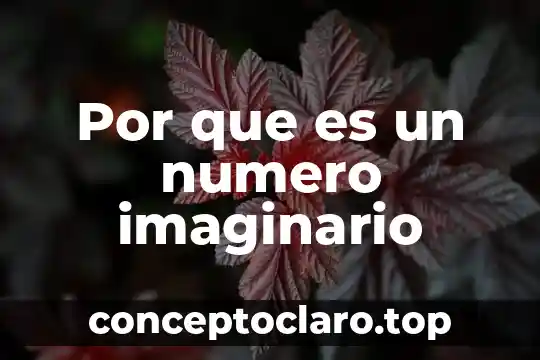 Número cuántico m que es 6 Por que es un numero imaginario