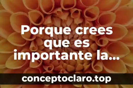 Porque crees que es importante la participación individual y colectiva