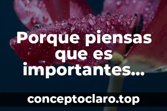 Que es aspectos importantes en la epilepsia del embarazo 5 Porque piensas que es importantes repetar las diferencias culturales