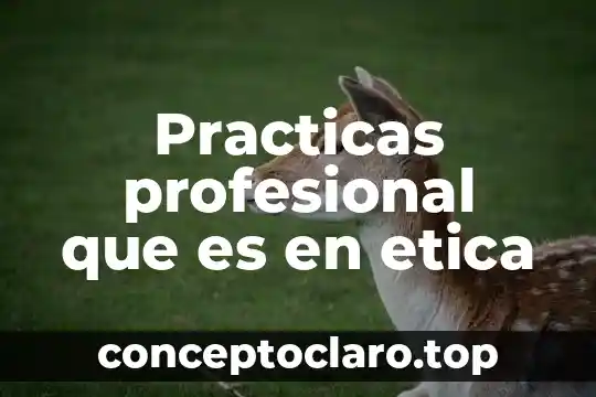 Practicas profesional que es en etica
