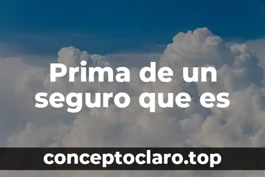 Prima de un seguro que es