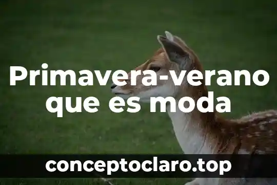 Que es la moda en todo los terminos 3 Primavera-verano que es moda