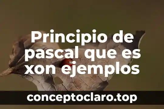 Principio de pascal que es xon ejemplos