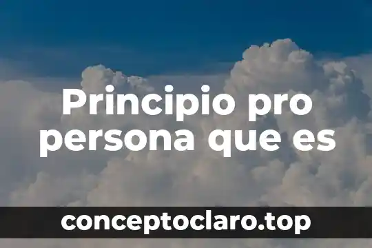 Principio pro persona que es
