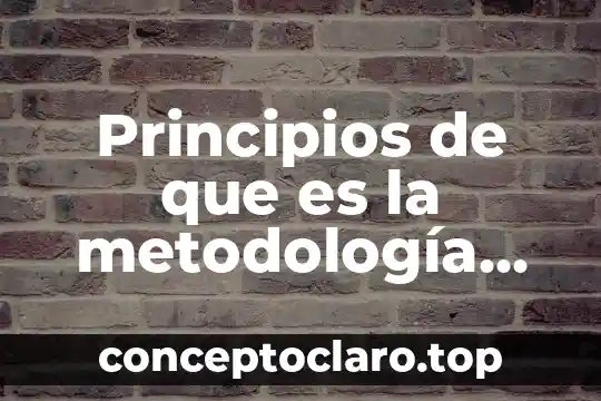 Principios de que es la metodología de investigación educativa