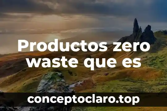 Apertura al capital y productos extranjeros que es 8 Productos zero waste que es