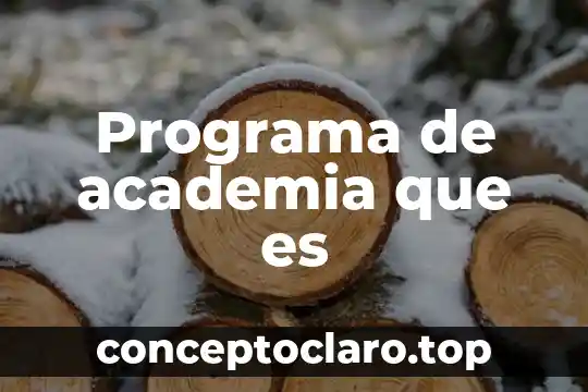 Programa de academia que es