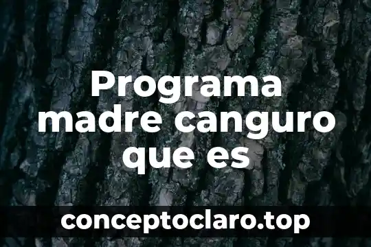 Qué es la fecha de transmisión de un programa 5 Programa madre canguro que es