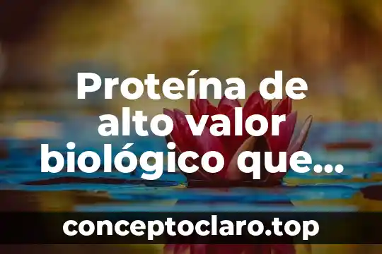 Que es un activo biologico en contabilidad 5 Proteína de alto valor biológico que es